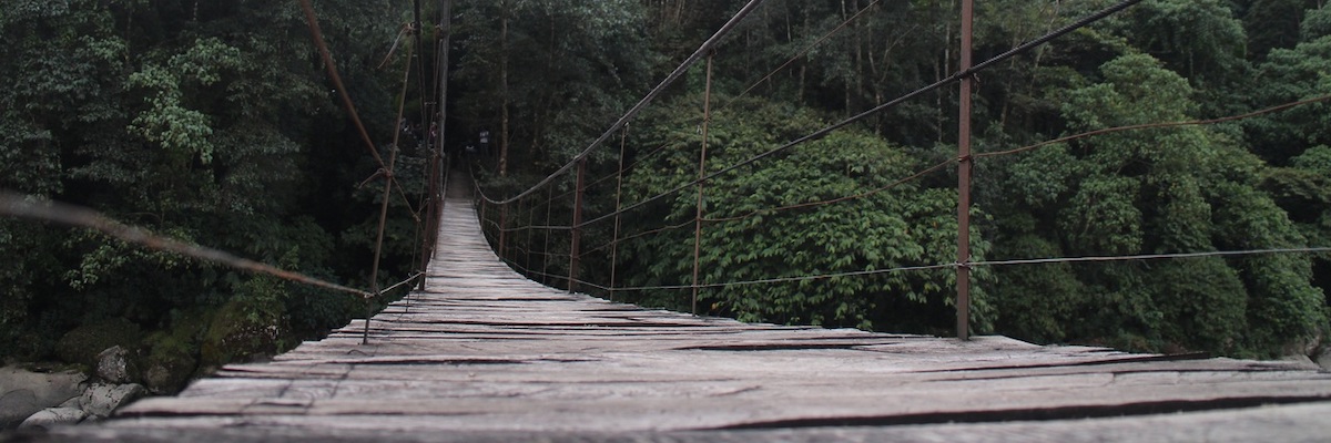 Pont suspendu en bois dans la forêt
