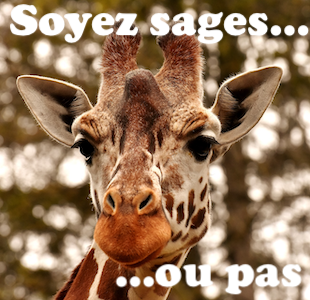 Soyez sages... ou pas